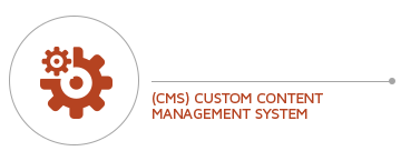 Custom Content Management System